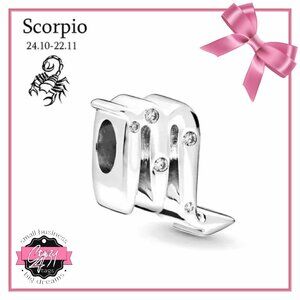 Scorpio ♏️ Charm